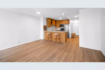 1030 N State Street #11M, Chicago, IL 60610 - Photo 6