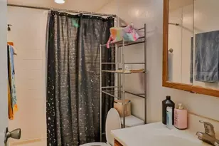 18320 Cherry Creek Dr, Homewood, IL 60430 - Photo 20