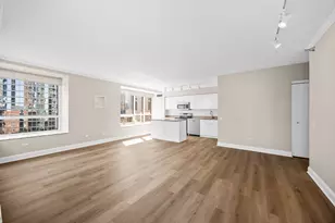 512 N McClurg Ct, Chicago, IL 60611 - Photo 4