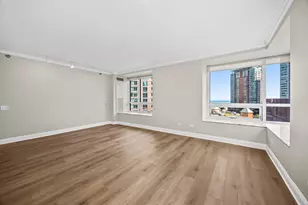 512 N McClurg Ct, Chicago, IL 60611 - Photo 6