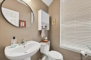 253 Larsdotter Ln, Geneva, IL 60134 - Photo 14