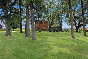 104 S Johnson St, Orangeville, IL 61060 - Photo 46