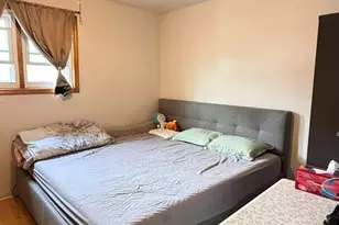 3524 S Lituanica Ave, Chicago, IL 60609 - Photo 16