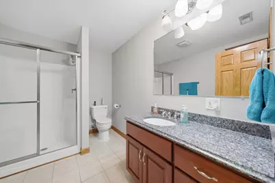 11555 S Elbridge Avenue, Palos Park, IL 60464 - Photo 18