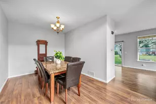 481 S Jade Ln, Round Lake, IL 60073 - Photo 8