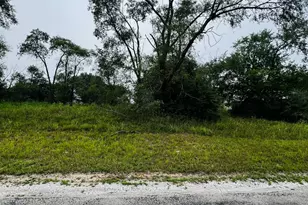 4706 13000 Rd, Hopkins Park, IL 60958 - Photo 1