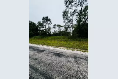 4706 13000 Road, Hopkins Park, IL 60958 - Photo 2