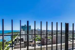 3550 N Lake Shore Dr, Chicago, IL 60657 - Photo 26