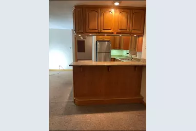 726 W 17th Street #2, Chicago, IL 60616 - Photo 4