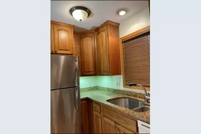 726 W 17th Street #2, Chicago, IL 60616 - Photo 10