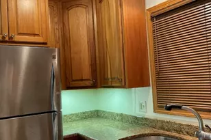 726 W 17th St, Chicago, IL 60616 - Photo 10