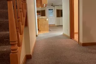 726 W 17th St, Chicago, IL 60616 - Photo 8