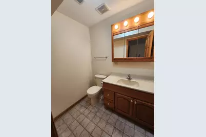 726 W 17th Street #2, Chicago, IL 60616 - Photo 22