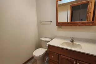 726 W 17th St, Chicago, IL 60616 - Photo 22