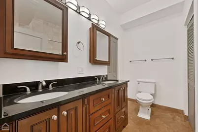 438 E 45th Place, Chicago, IL 60653 - Photo 10