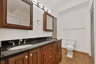 438 E 45th Pl, Chicago, IL 60653 - Photo 10