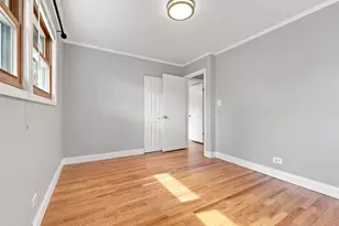 1113 S Haddow Ave, Arlington Heights, IL 60005 - Photo 20
