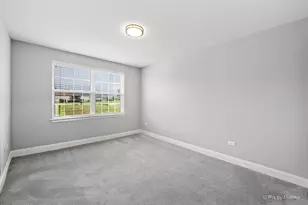 1451 Bethpage Cir, Elgin, IL 60124 - Photo 32