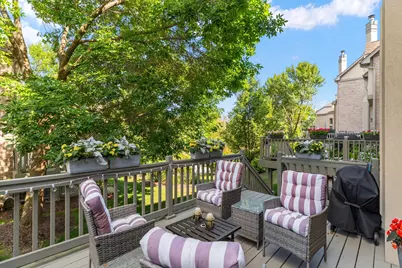 1555 S Paul Le Comte Court #58, Palatine, IL 60067 - Photo 34