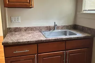 221 E 78th St, Chicago, IL 60619 - Photo 10