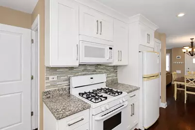 237 N Hamlin Avenue, Park Ridge, IL 60068 - Photo 10
