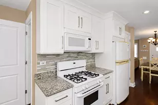 237 N Hamlin Ave, Park Ridge, IL 60068 - Photo 10