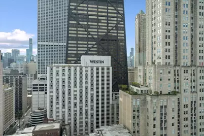 179 E Lake Shore Drive #19S, Chicago, IL 60611 - Photo 4