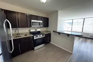 4800 S Chicago Beach Dr, Chicago, IL 60615 - Photo 6