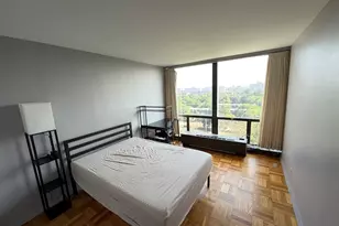 601 E 32nd St, Chicago, IL 60616 - Photo 20