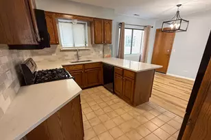 8504 W Catherine Ave, Chicago, IL 60656 - Photo 8