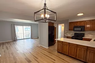 8504 W Catherine Ave, Chicago, IL 60656 - Photo 6