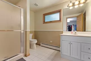 313 W Woodlawn Rd, New Lenox, IL 60451 - Photo 16