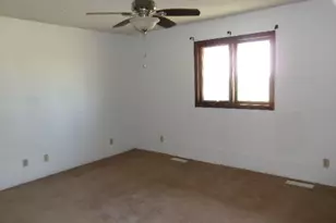 1074 N 2nd Rd, Dana, IL 61321 - Photo 8