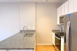 347 E 25th Pl, Chicago, IL 60616 - Photo 12
