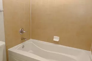 347 E 25th Pl, Chicago, IL 60616 - Photo 16