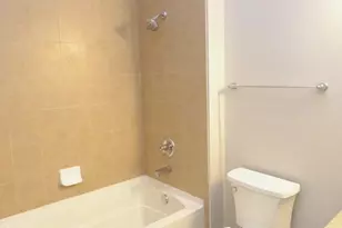 347 E 25th Pl, Chicago, IL 60616 - Photo 8