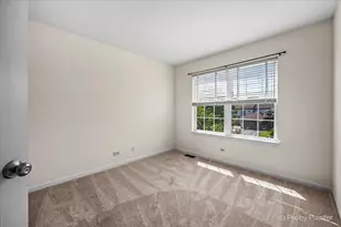6 Elizabeth Ct, Lake in the Hills, IL 60156 - Photo 24