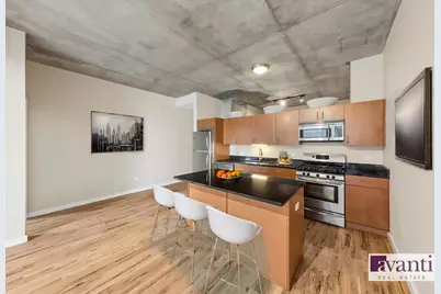 1720 S Michigan Avenue #202, Chicago, IL 60616 - Photo 8
