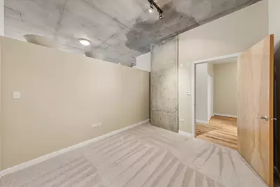 1720 S Michigan Avenue #202, Chicago, IL 60616 - Photo 18