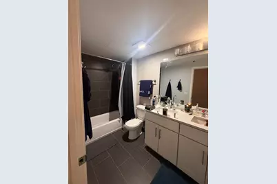 50 E 16th Street #609, Chicago, IL 60616 - Photo 10