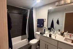 50 E 16th St, Chicago, IL 60616 - Photo 10
