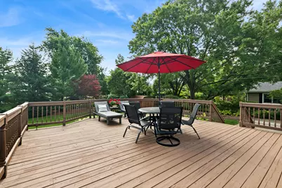 117 Linden Drive, Frankfort, IL 60423 - Photo 18