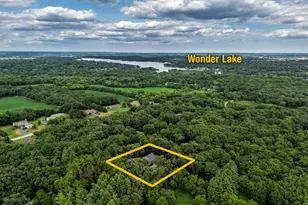 9217 Shadow Ln, Bull Valley, IL 60097 - Photo 44