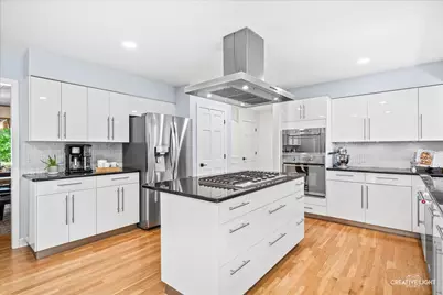 412 Flock Avenue, Naperville, IL 60565 - Photo 10