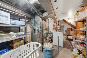 4925 Carol St, Skokie, IL 60077 - Photo 20