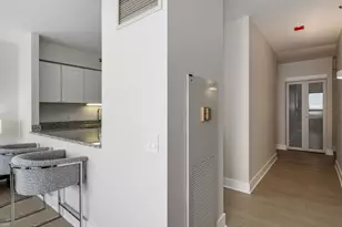 512 N McClurg Ct, Chicago, IL 60611 - Photo 12