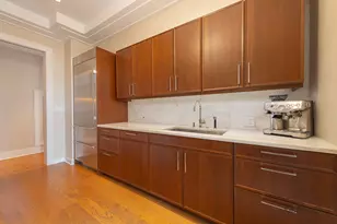 118 E Erie St, Chicago, IL 60611 - Photo 38