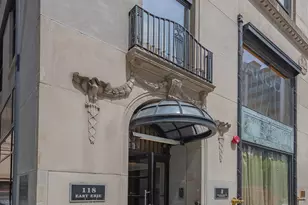 118 E Erie St, Chicago, IL 60611 - Photo 2