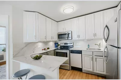 1455 N Sandburg Terrace #2009, Chicago, IL 60610 - Photo 12