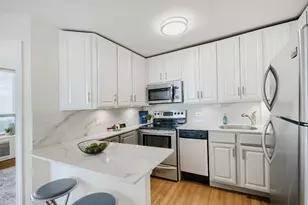1455 N Sandburg Terrace, Chicago, IL 60610 - Photo 12